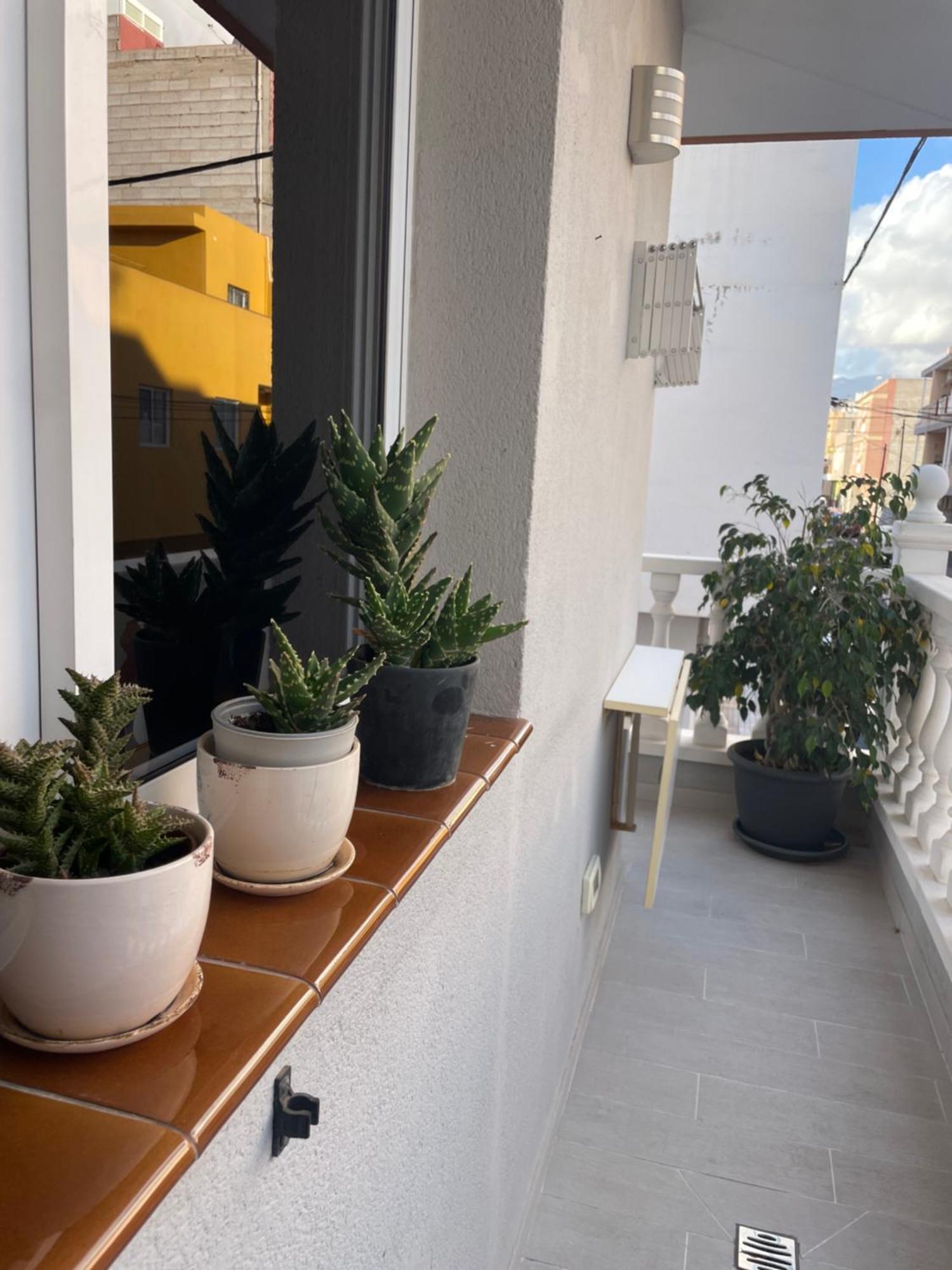 Apartamento Rincon De Adam アロナ エクステリア 写真